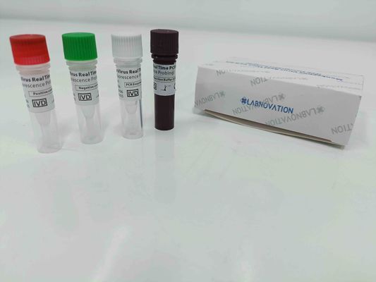 качество  Real Time Monkeypox PCR Test Kit With Positive / Negative Control завод