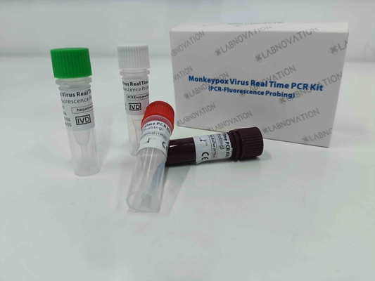 Реальное время набора теста PCR вируса Monkeypox быстрое для человеческих образцов эксудата убытока сыворотки